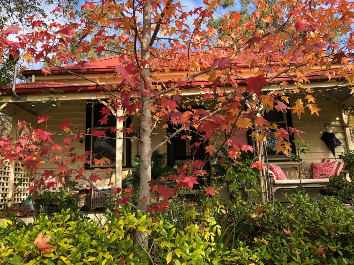 מאלדון Sinnamons Cottage מראה חיצוני תמונה