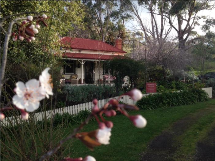 מאלדון Sinnamons Cottage מראה חיצוני תמונה